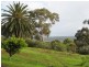 Lot 32, 33, 34,  St Johns Terrace, Willunga SA 5172