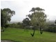 Lot 32, 33, 34,  St Johns Terrace, Willunga SA 5172