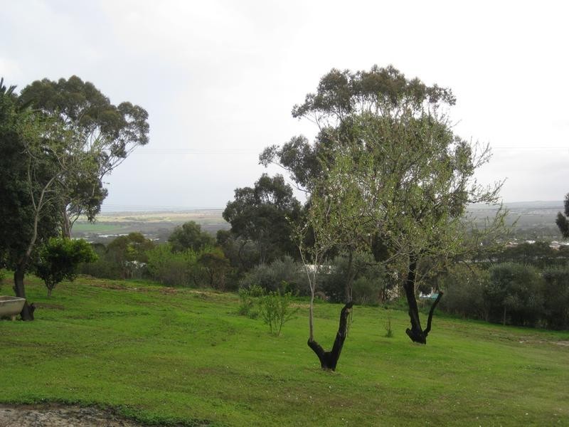 Lot 32, 33, 34,  St Johns Terrace, Willunga SA 5172
