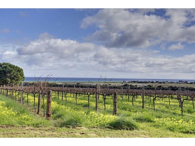 81 Justs Road, Sellicks Beach SA 5174