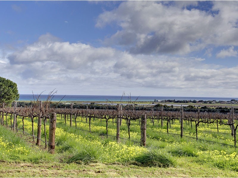 81 Justs Road, Sellicks Beach SA 5174