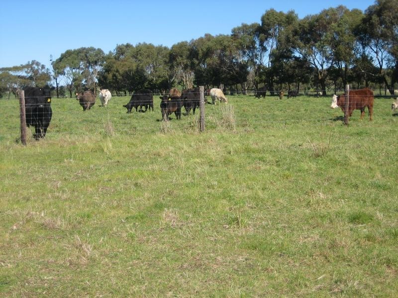 Lot 51 Sneyd Road, Mount Jagged SA 5211