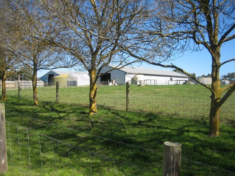 Lot 51 Sneyd Road, Mount Jagged SA 5211