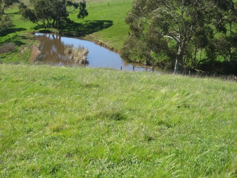Lot 51 Sneyd Road, Mount Jagged SA 5211
