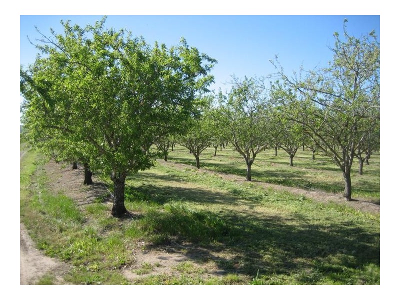 Lot 50 Aldinga Road, Willunga SA 5172