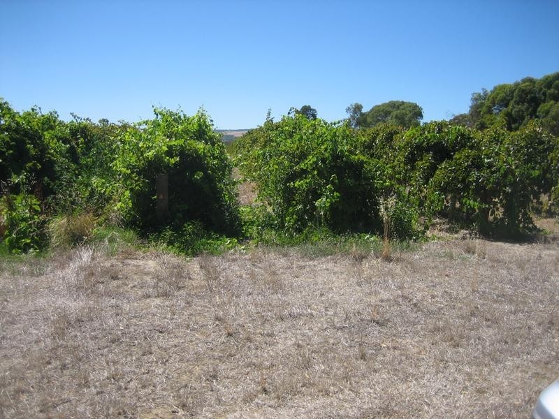 Willunga SA 5172