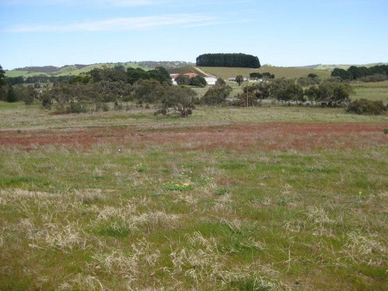 Lot 532 Cleland Gully Road, Mount Compass SA 5210
