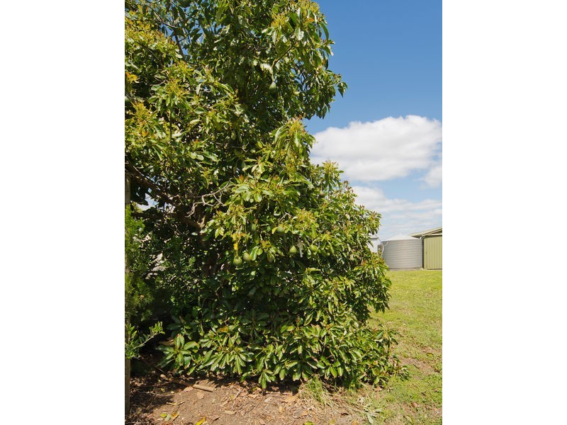 40 Stump Hill Road, Mclaren Vale SA 5171