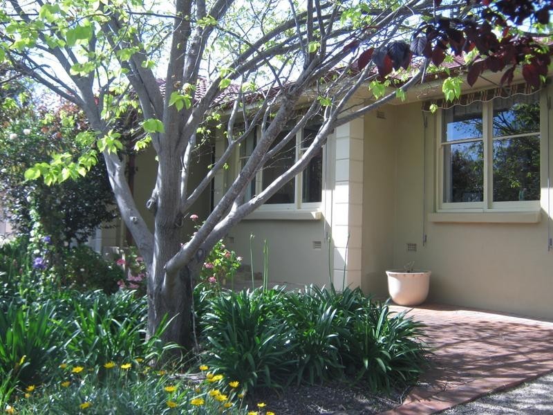 10 St Peters Terrace, Willunga SA 5172