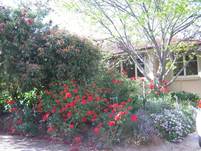 10 St Peters Terrace, Willunga SA 5172