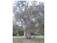 Lot 1 & 2 Old Willunga Hill Road, Willunga SA 5172
