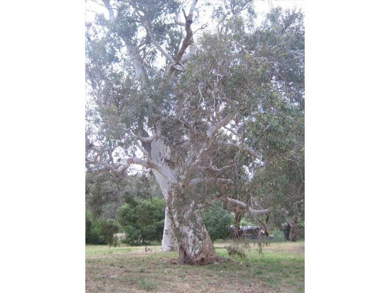 Lot 1 & 2 Old Willunga Hill Road, Willunga SA 5172
