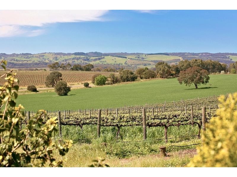 32 Wigley Drive, Mclaren Vale SA 5171