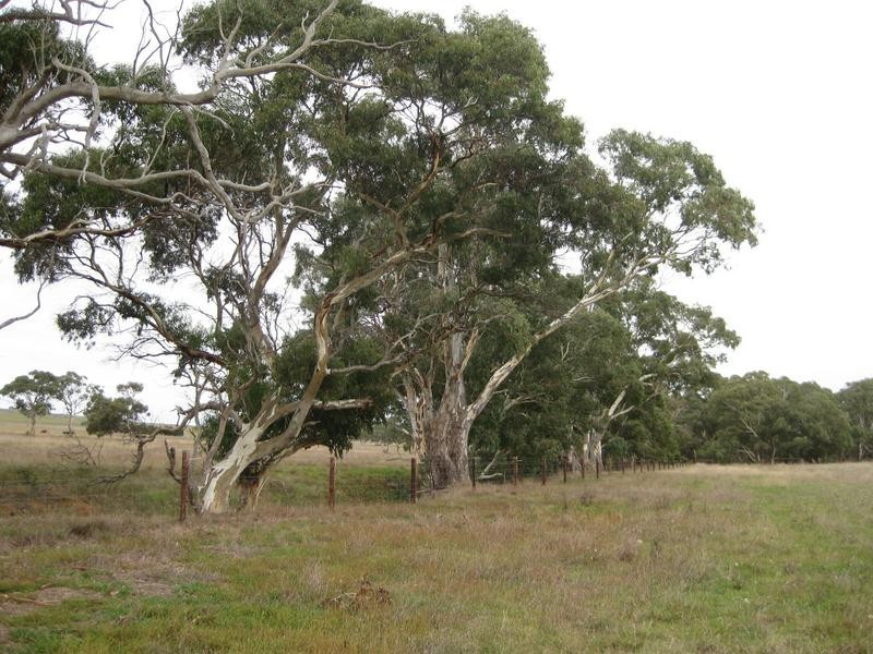 Lot 2043 Gould Road, Currency Creek SA 5214