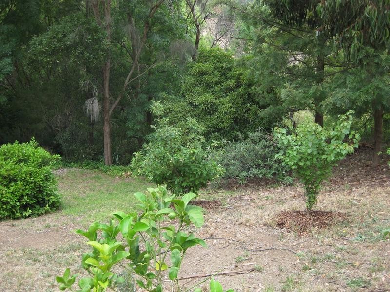 31 St Georges Street, Willunga SA 5172