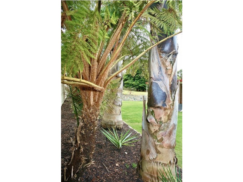 94 Arthur Road, Mount Compass SA 5210