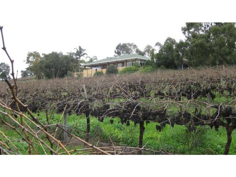 Lot 46,  Pennys Rd, Mclaren Flat SA 5171