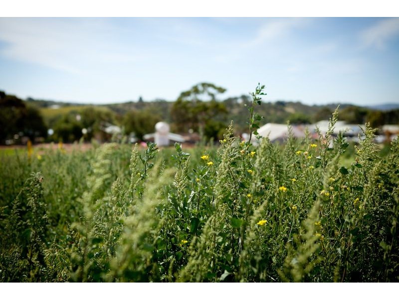 Lot 19 – 23, Main Road, Mclaren Vale SA 5171