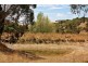 728 Range Road West, Willunga SA 5172