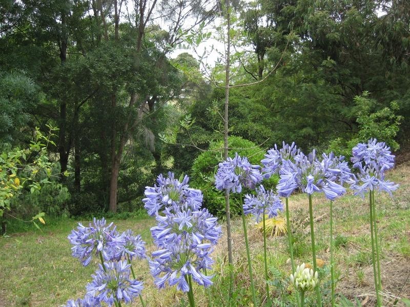 31 St Georges Street, Willunga SA 5172