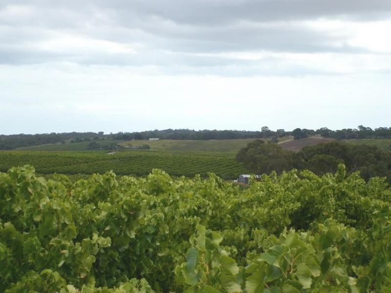 Lot 51 Schuller Road, Blewitt Springs SA 5171