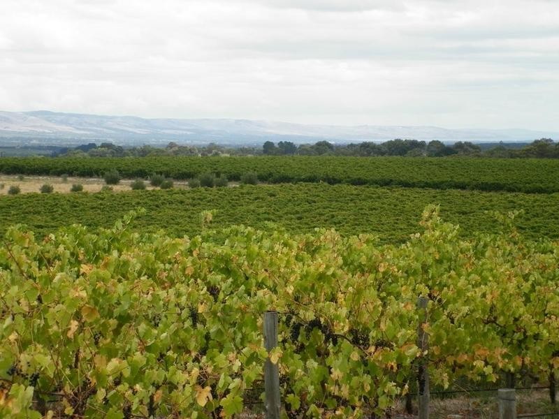 Lot 51 Schuller Road, Blewitt Springs SA 5171