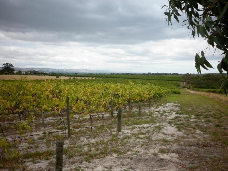 Lot 51 Schuller Road, Blewitt Springs SA 5171