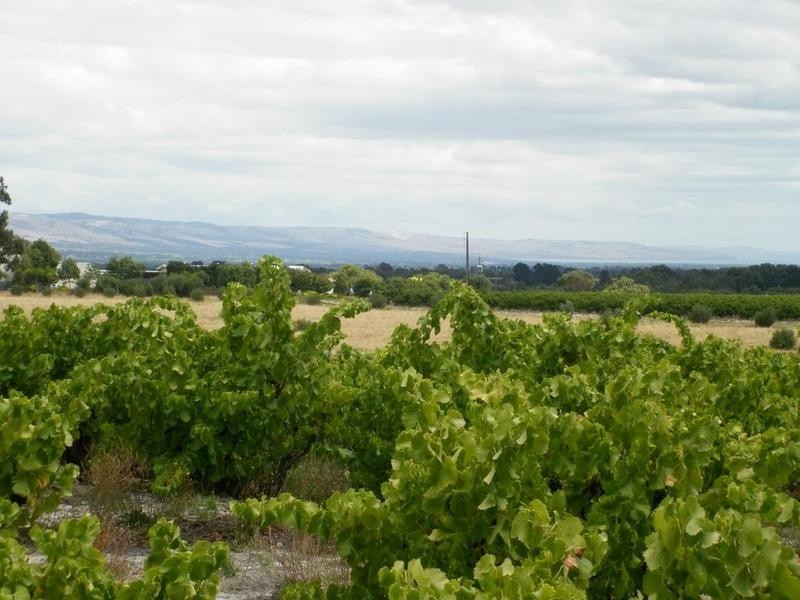 Lot 51 Schuller Road, Blewitt Springs SA 5171