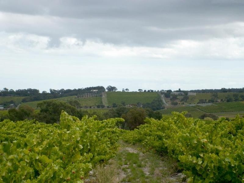 Lot 51 Schuller Road, Blewitt Springs SA 5171