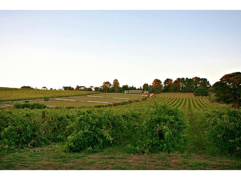 139 Blewitt Springs Road, Mclaren Flat SA 5171