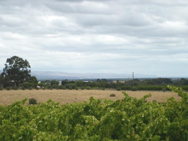 Lot 51 Schuller Rd, Blewitt Springs SA 5171