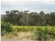 Lot 51 Schuller Rd, Blewitt Springs SA 5171