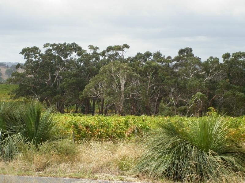 Lot 51 Schuller Rd, Blewitt Springs SA 5171