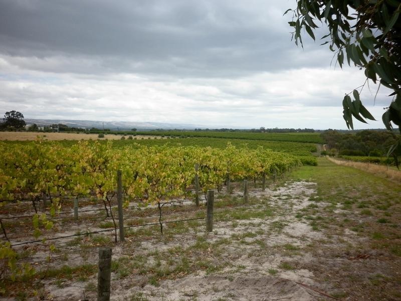 Lot 51 Schuller Rd, Blewitt Springs SA 5171