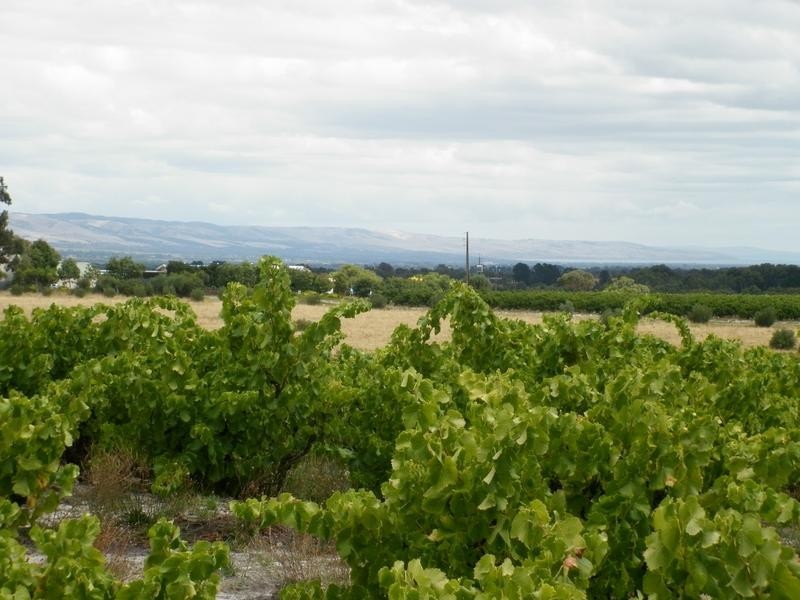 Lot 51 Schuller Rd, Blewitt Springs SA 5171