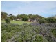 17 Hawksnest Avenue, Seaford Rise SA 5169