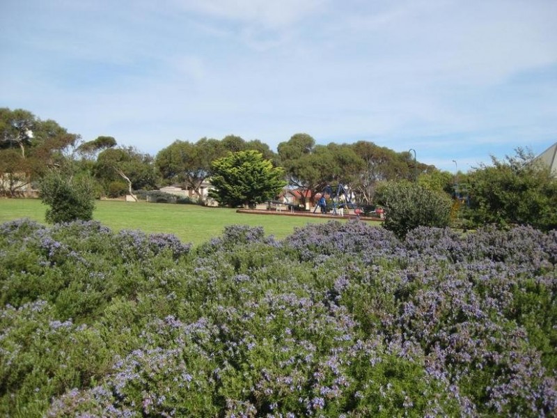 17 Hawksnest Avenue, Seaford Rise SA 5169