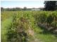 2 Blewitt Springs Road, Mclaren Flat SA 5171