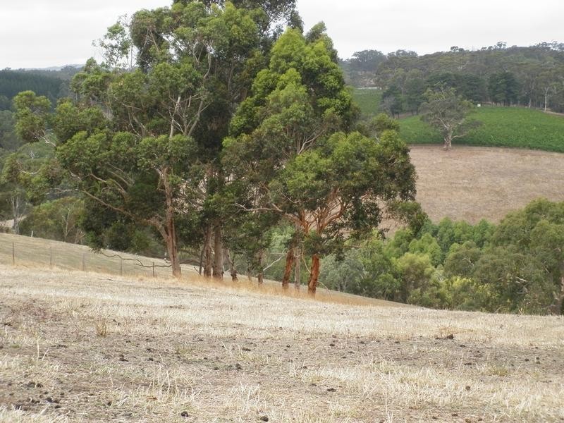 Sec 803 off Dashwood Gully Road, Kangarilla SA 5157