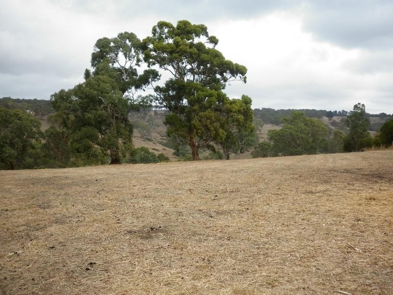 Sec 803 off Dashwood Gully Road, Kangarilla SA 5157