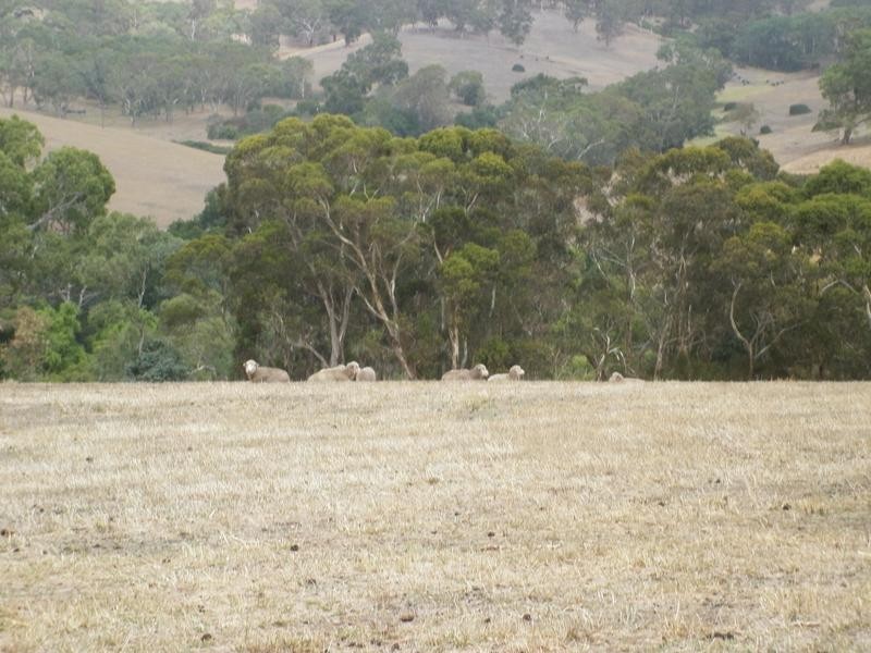 Sec 803 off Dashwood Gully Road, Kangarilla SA 5157