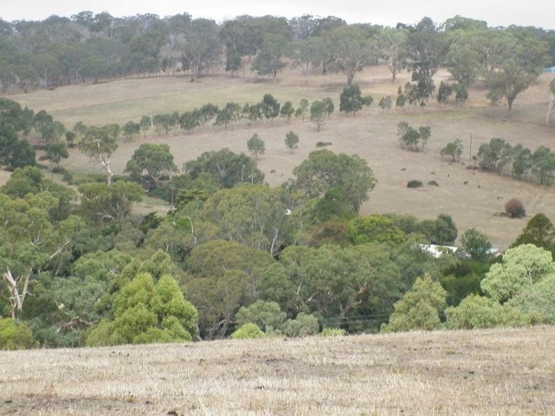 Sec 803 off Dashwood Gully Road, Kangarilla SA 5157