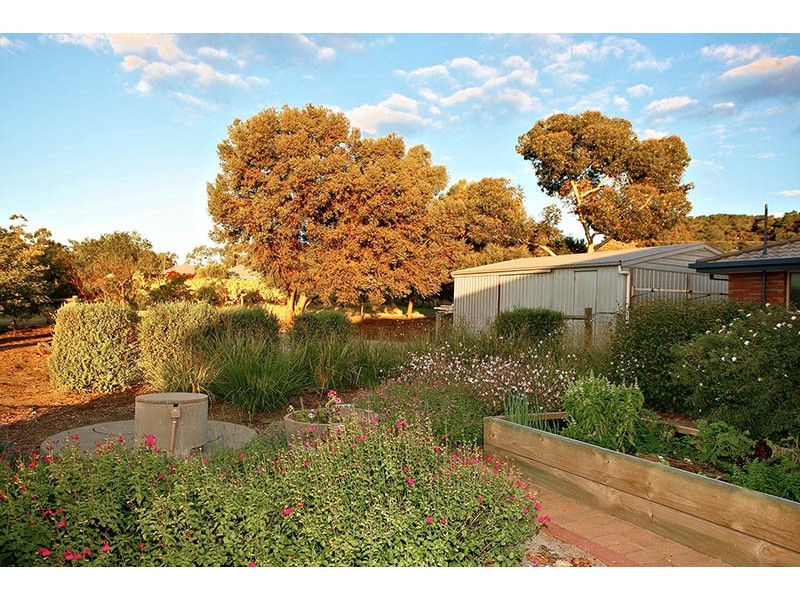 299 Kangarilla Road, Mclaren Flat SA 5171