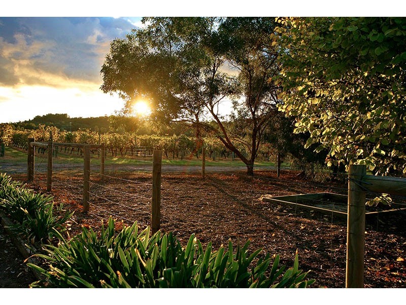 299 Kangarilla Rd, Mclaren Flat SA 5171