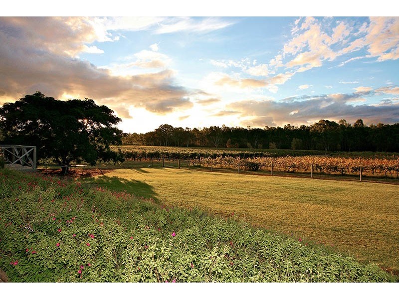 299 Kangarilla Rd, Mclaren Flat SA 5171