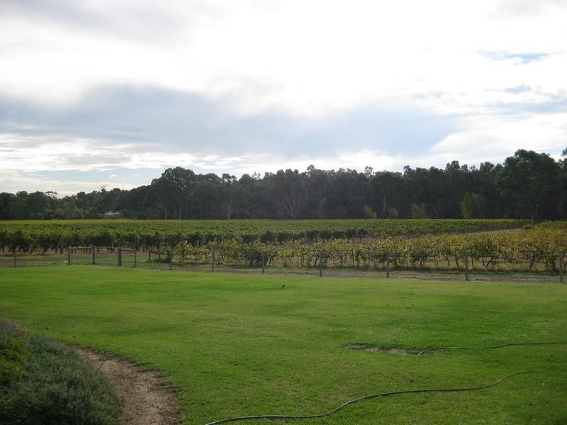 299 Kangarilla Rd, Mclaren Flat SA 5171