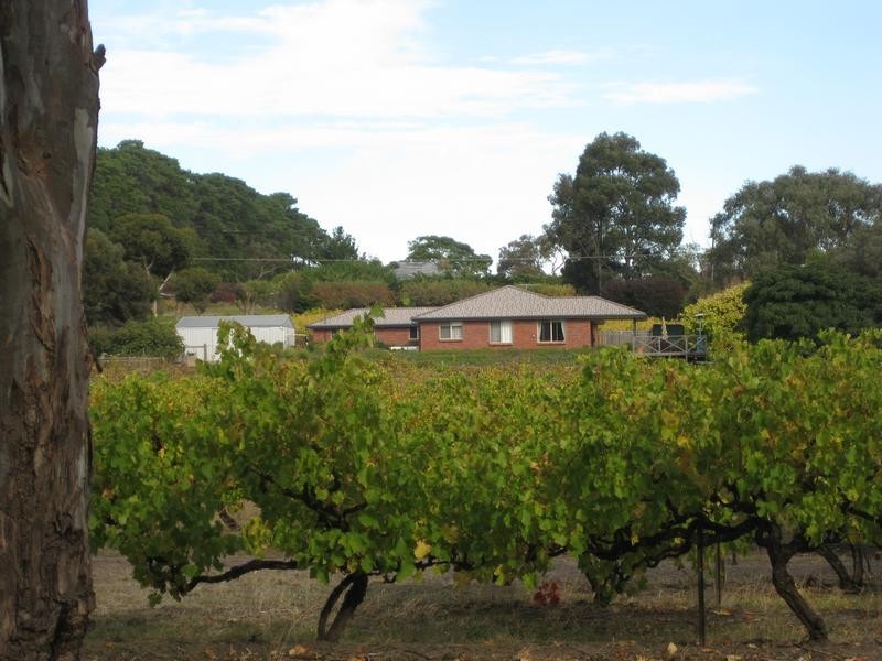 299 Kangarilla Rd, Mclaren Flat SA 5171