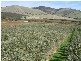 361 Hahn Road, Willunga SA 5172