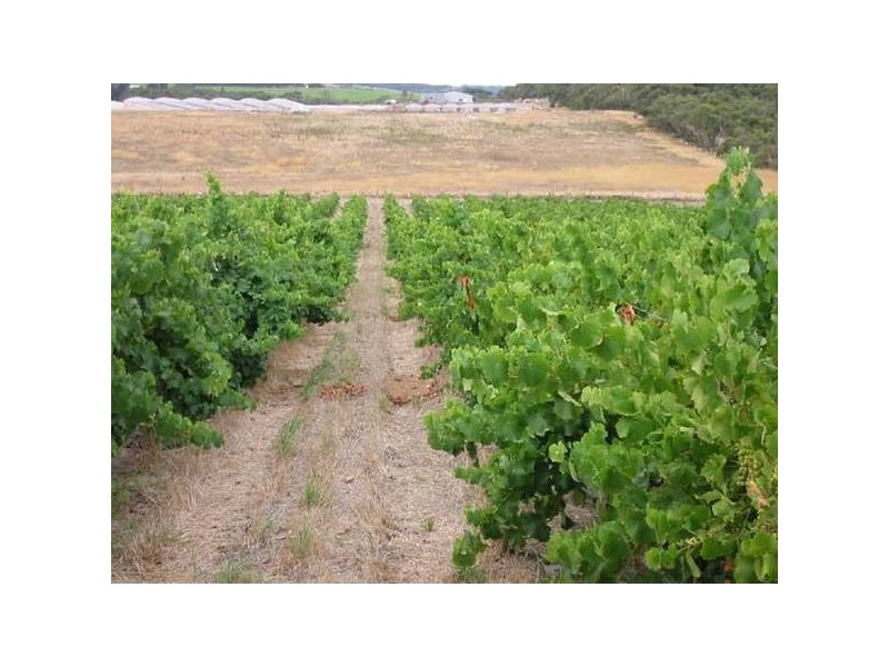 Sect 156 Billings Road, Pages Flat SA 5172