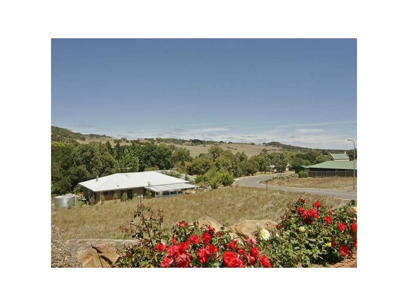 43 Michelmore Drive, Meadows SA 5201